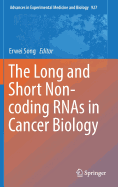 The Long and Short Non-Coding Rnas in Cancer Biology