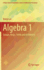 Algebra 1: Groups, Rings, Fields and Arithmetic