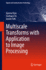 Multiscale Transforms With Application to Image Processing (Signals and Communication Technology)