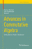 Advances in Commutative Algebra