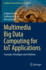 Multimedia Big Data Computing for Iot Applications