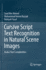 Cursive Script Text Recognition in Natural Scene I