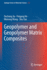 Geopolymer and Geopolymer Matrix Composites