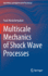 Multiscale Mechanics of Shock Wave Processes (Shock Wave and High Pressure Phenomena) [Hardcover] [Oct 02, 2021] Meshcheryakov, Yurii