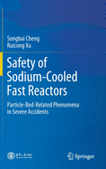 Safety of Sodium-Cooled Fast Reactors