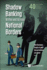 Shadow Banking Within and Across National Borders (Vol-40 Only)