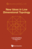 New Ideas in Low Dimensional Topology (Knots and Everything, 56)