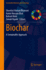 Biochar