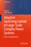 Adaptive Switching Control of Large-Scale Complex