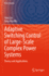 Adaptive Switching Control of Large-Scale Complex