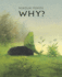 Why? (Minedition Classic)