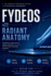 Fydeos V22 Radiant Anatomy