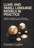 LLMs and Small Language Models in Practice: Build Efficient Applications Compare performance, optimize efficiency, and deploy scalable real-world Projects
