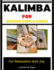 Kalimba For Seniors: Simple Songs For Relaxation And Joy: Gentle Music Lessons Designed For Calm, Focus, And Enjoyment