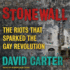 Stonewall: the Riots That Sparked the Gay Revolution