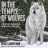 In the Temple of Wolves: a Winter's Immersion in Wild Yellowstone