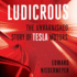 Ludicrous: the Unvarnished Story of Tesla Motors