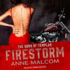 Firestorm (the Sons of Templar Mc Series)