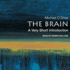 The Brain: a Very Short Introduction (Very Short Introductions)