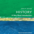 History: a Very Short Introduction (Very Short Introductions)