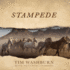 Stampede (the Rocking R Ranch Westerns)