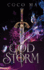 God Storm (Shadow Frost Series, Book 2)