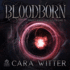 Bloodborn (Five Lands Saga, 3)