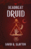 Deadbeat Druid (the Adam Binder Novels)