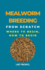 Mealworm Breeding From Scratch: Where To Begin, How To Begin