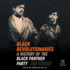 Black Revolutionaries: a History of the Black Panther Party