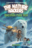 Operation Polar Bear