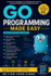 Go Programming Made Easy