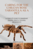 Caring for the Chilean Rose Tarantula as a Pet: A Complete Guide to Ownership, Feeding, Health, Housing, Behavior Etc