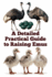 A Detailed Practical Guide to Raising Emus