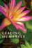 Leading Humanely