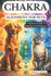 Chakra Alignment for Pets: A Holistic Guide to Healing and Wellness