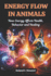 Energy Flow in Animals: How Energy Affects Health, Behavior, and Healing