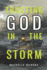 Trusting God in the Storm