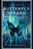 Butterfly Spread