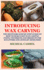 Introducing Wax Carving: the Biginners Step By Step Guide on How to Make Lost Wax Casting, Fixing, Techiques and Projects for Sculptors and Jewelry Designers