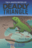 Deadly Triangle
