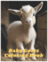 Baby Goat Coloring Book for Kids