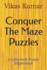Conquer the Maze Puzzles