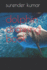 Dolphin Drawing Book