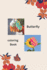 Butterfly Coloring Book (Butterfly Coloring Drawing Book)