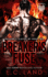Breaker's Fuse
