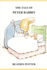 The Tale of Peter Rabbit