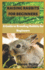 Raising Rabbits for Beginners: a Guide to Breeding Rabbits for Beginners
