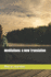 Meditations: a New Translation