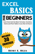 Excel Basics for Beginners Learn Excel and Use Basic Formulas, Functions, Charts and Pivot Tables in Less Than 10 Hours